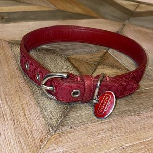 COACH Dog Collar